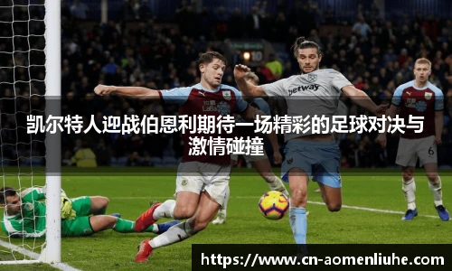 新澳门六合彩